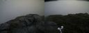 ./images/calvert/buxton2/20200714/buxton220200714_185002M.jpg