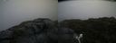 ./images/calvert/buxton2/20200714/buxton220200714_185502M.jpg