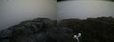 ./images/calvert/buxton2/20200714/buxton220200714_192502M.jpg