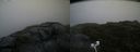 ./images/calvert/buxton2/20200714/buxton220200714_193503M.jpg