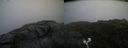 ./images/calvert/buxton2/20200714/buxton220200714_194003M.jpg