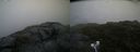 ./images/calvert/buxton2/20200714/buxton220200714_195505M.jpg