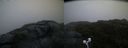 ./images/calvert/buxton2/20200716/buxton220200716_054002M.jpg