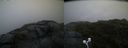 ./images/calvert/buxton2/20200716/buxton220200716_062503M.jpg