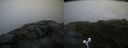 ./images/calvert/buxton2/20200716/buxton220200716_063504M.jpg