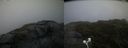 ./images/calvert/buxton2/20200716/buxton220200716_065504M.jpg