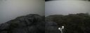 ./images/calvert/buxton2/20200716/buxton220200716_071004M.jpg