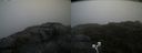 ./images/calvert/buxton2/20200716/buxton220200716_075002M.jpg