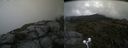 ./images/calvert/buxton2/20200716/buxton220200716_161004M.jpg