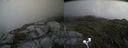 ./images/calvert/buxton2/20200716/buxton220200716_163504M.jpg