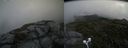 ./images/calvert/buxton2/20200716/buxton220200716_164504M.jpg