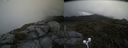 ./images/calvert/buxton2/20200716/buxton220200716_174002M.jpg