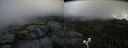 ./images/calvert/buxton2/20200717/buxton220200717_114504M.jpg