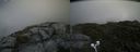 ./images/calvert/buxton2/20200717/buxton220200717_130502M.jpg