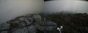 ./images/calvert/buxton2/20200717/buxton220200717_131503M.jpg