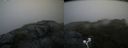./images/calvert/buxton2/20200718/buxton220200718_074004M.jpg