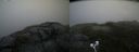 ./images/calvert/buxton2/20200718/buxton220200718_075503M.jpg