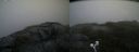 ./images/calvert/buxton2/20200718/buxton220200718_080004M.jpg