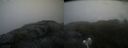 ./images/calvert/buxton2/20200718/buxton220200718_084504M.jpg
