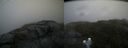 ./images/calvert/buxton2/20200718/buxton220200718_100003M.jpg