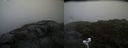 ./images/calvert/buxton2/20200718/buxton220200718_101003M.jpg