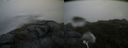 ./images/calvert/buxton2/20200718/buxton220200718_110504M.jpg