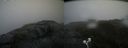 ./images/calvert/buxton2/20200718/buxton220200718_165005M.jpg
