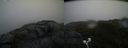 ./images/calvert/buxton2/20200718/buxton220200718_173504M.jpg