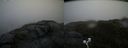 ./images/calvert/buxton2/20200718/buxton220200718_174004M.jpg