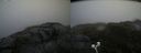 ./images/calvert/buxton2/20200718/buxton220200718_175004M.jpg