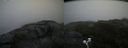 ./images/calvert/buxton2/20200718/buxton220200718_181004M.jpg