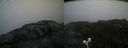./images/calvert/buxton2/20200718/buxton220200718_184002M.jpg