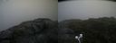 ./images/calvert/buxton2/20200718/buxton220200718_193503M.jpg