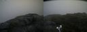 ./images/calvert/buxton2/20200718/buxton220200718_195004M.jpg