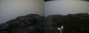 ./images/calvert/buxton2/20200718/buxton220200718_203504M.jpg