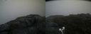 ./images/calvert/buxton2/20200718/buxton220200718_204504M.jpg