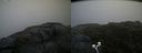 ./images/calvert/buxton2/20200718/buxton220200718_205504M.jpg