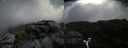 ./images/calvert/buxton2/20200719/buxton220200719_094504M.jpg