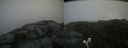 ./images/calvert/buxton2/20200719/buxton220200719_105004M.jpg