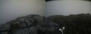 ./images/calvert/buxton2/20200719/buxton220200719_105504M.jpg