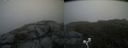 ./images/calvert/buxton2/20200719/buxton220200719_115504M.jpg