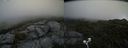 ./images/calvert/buxton2/20200719/buxton220200719_124504M.jpg
