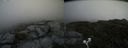 ./images/calvert/buxton2/20200719/buxton220200719_125504M.jpg