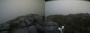 ./images/calvert/buxton2/20200719/buxton220200719_130502M.jpg