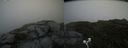 ./images/calvert/buxton2/20200719/buxton220200719_131004M.jpg
