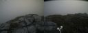 ./images/calvert/buxton2/20200719/buxton220200719_131504M.jpg