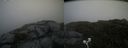 ./images/calvert/buxton2/20200719/buxton220200719_132004M.jpg