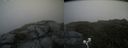 ./images/calvert/buxton2/20200719/buxton220200719_134004M.jpg
