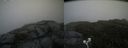 ./images/calvert/buxton2/20200719/buxton220200719_140503M.jpg
