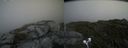 ./images/calvert/buxton2/20200719/buxton220200719_144504M.jpg